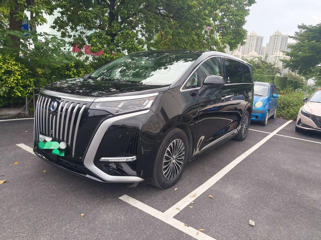 Tengsten D9 EV 2022 600 4WD Flagship