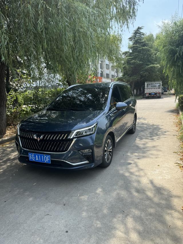 Wuling Jiachen 2022 1.5T CVT Exclusive Flagship Model