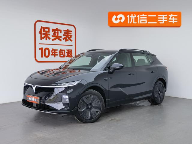 Landu Zhiyin 2024 Dual Motor Lithium Iron Phosphate