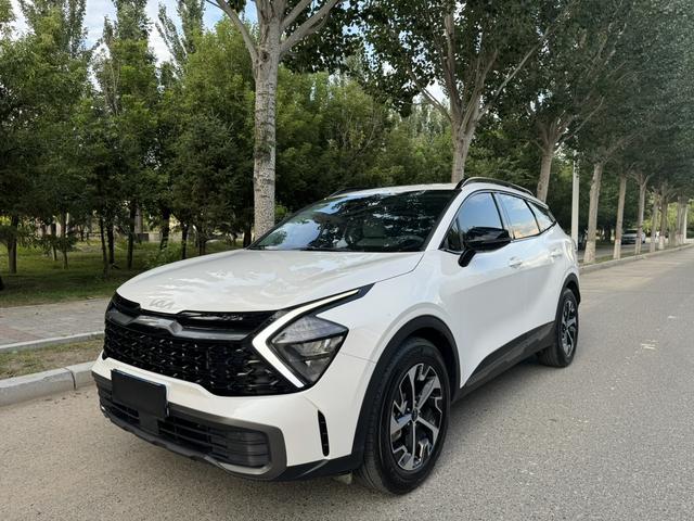 Lion Platinum Tuojie 2023 1.5T Two-wheel drive Premium Edition