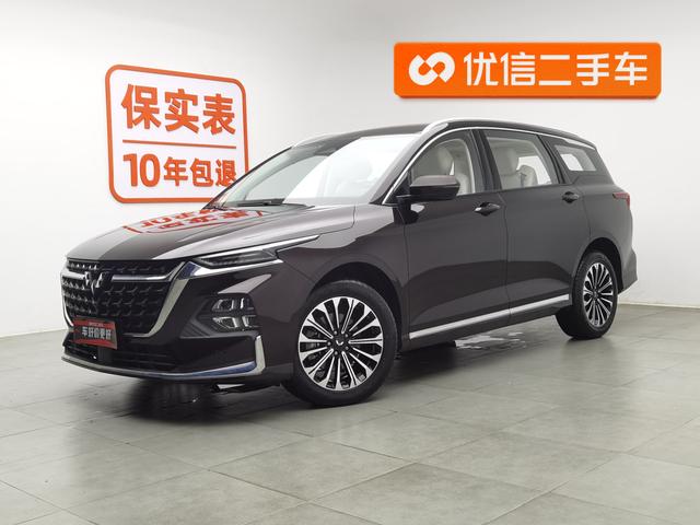 Capgemini Victory 2023 2.0L DHT Luxury Type