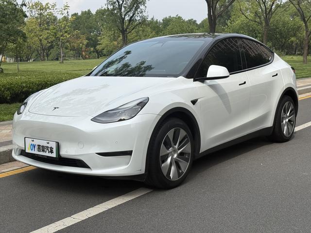 Model Y 2021 Long Range All-Wheel Drive