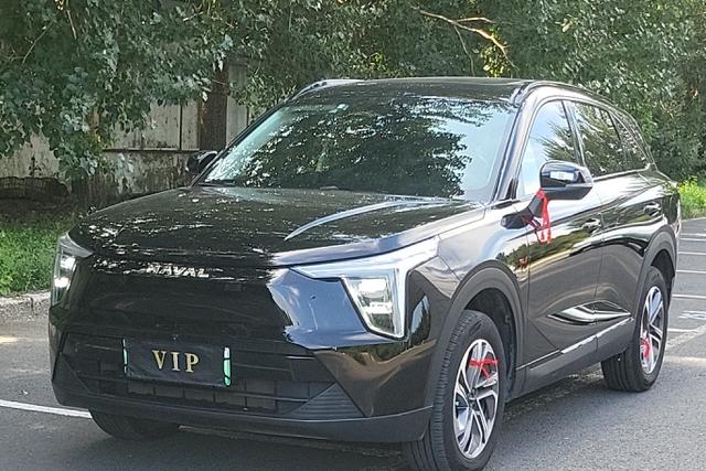 Havalon 2023 1.5L 110km Pilot Edition