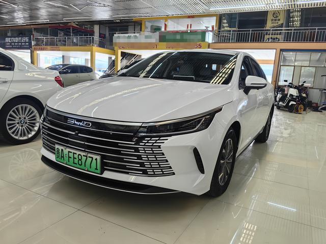 Destroyer 05 2024 Glory Edition DM-i 55KM Luxury