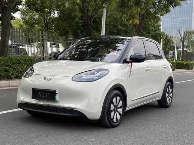 Wuling Colorado 2023 333KM Yuexiang Model