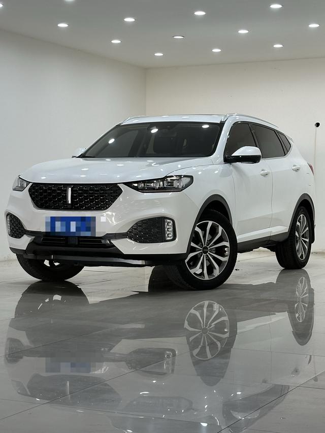 Wei brand VV6 2020 2.0T two-wheel drive smart enjoy+