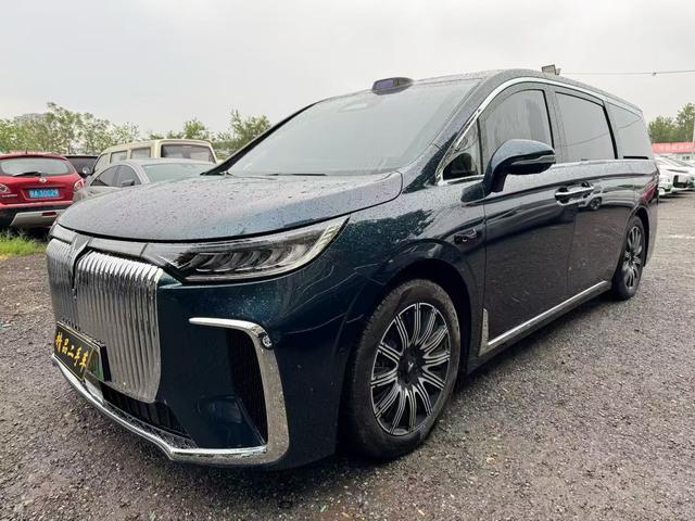 Landu Dreamer EV 2025 Four-wheel drive flagship Dry Version