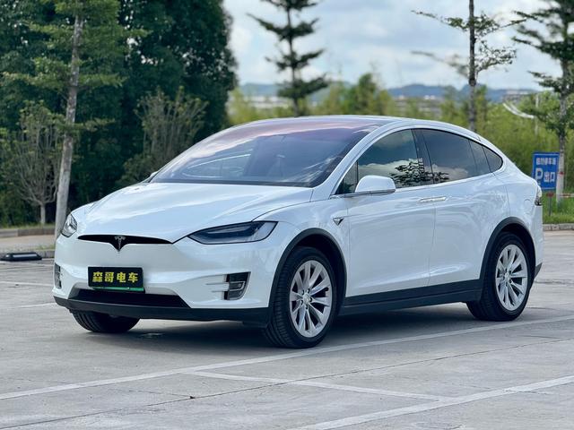 Model X 2019 Long Range Edition