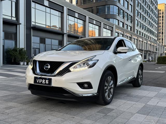 Loulan 2019 2.5L XL 2WD Intelligent Luxury Edition State V