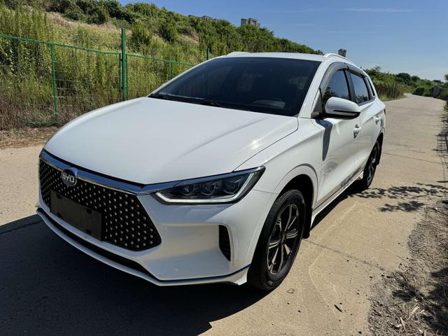 BYD e2 2021 Collar Chang Edition