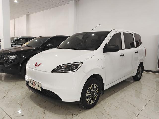 Wuling Hongguang Pure Electric Version 2024 300KM Standard Type