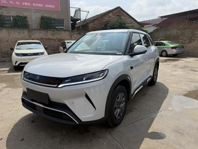 Yuan UP 2025 Smart Driving Version 401KM Vitality Version