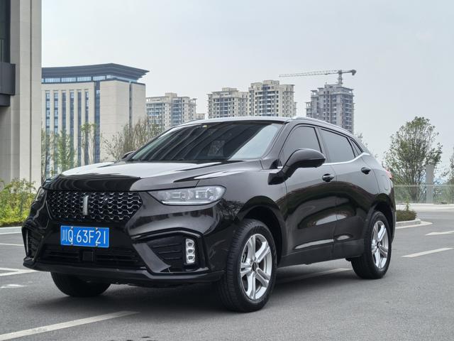 Wei brand VV5 2020 1.5T Smart Pioneer