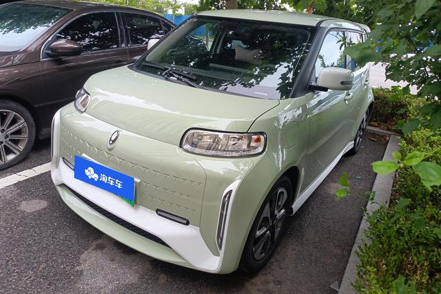 Euler White Cat 2022 Little Wild Cat Version 360km Luxury Ternary Lithium