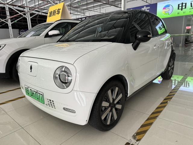 Euler Black Cat 2021 351km Standard