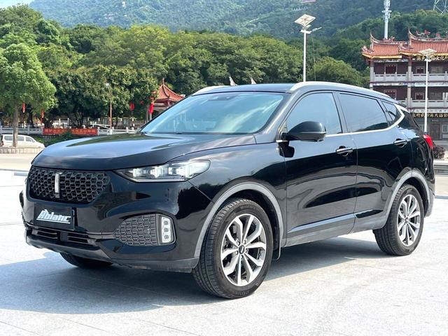 Wei brand VV6 2021 2.0T two-wheel drive smart travel+