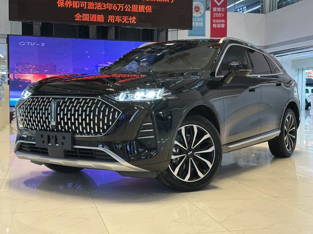 Mocha 2021 2.0T two-wheel drive extra thick version