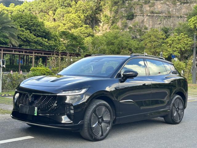 Landu Soulmate 2024 Four-wheel drive Global Edition