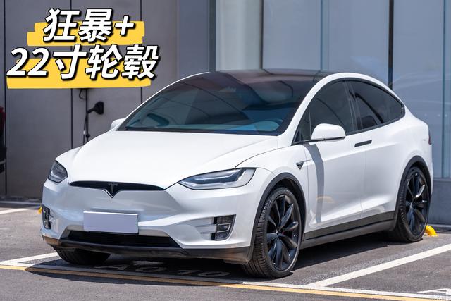 Model X 2019 Performance High Performance Edition