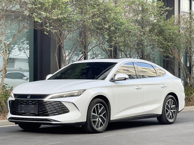 Qin L DM 2024 DM-i 120KM leading type