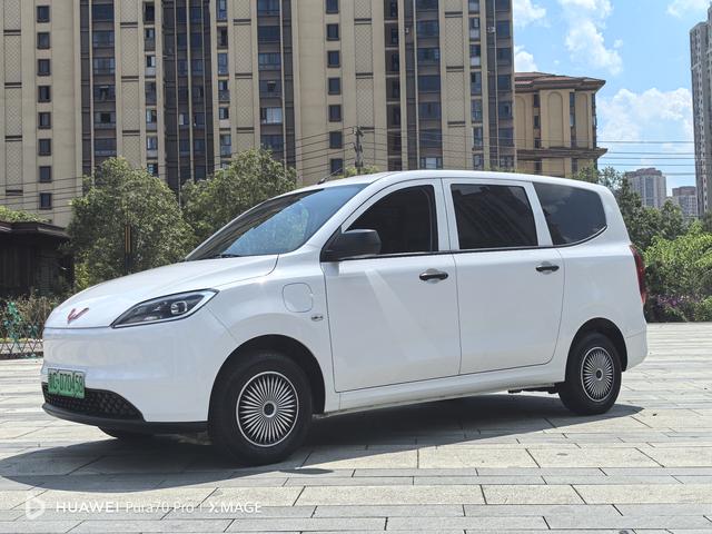 Wuling Hongguang Pure Electric Version 2024 300KM Standard Type