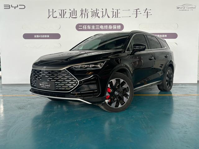 Tang DM 2024 Glory version DM-p 215KM four-wheel drive exclusive Type