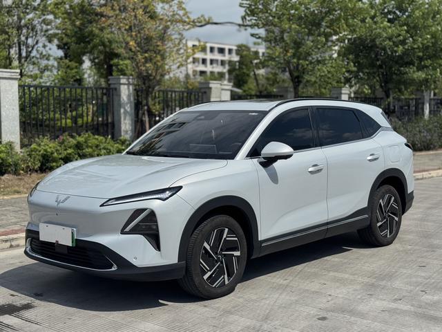 Wuling Xingguang S PHEV 2024 130km Flagship Model