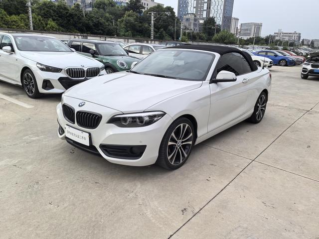 BMW 2 Series (imported) 2019 225i convertible coupe sports design set