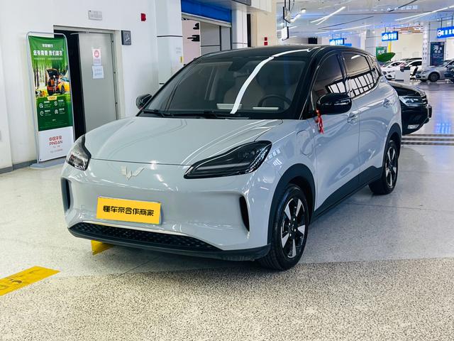 Wuling Bingguo PLUS 2024 330km five-seater version
