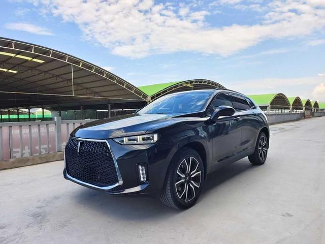Wei brand P8 2018 2.0T Exclusive type