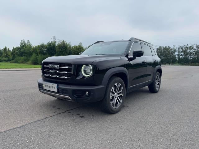 Havoc Big Dog 2021 1.5T 2WD Border Ranch Edition