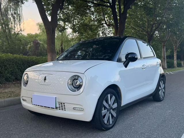 Euler Black Cat 2021 351km Deluxe