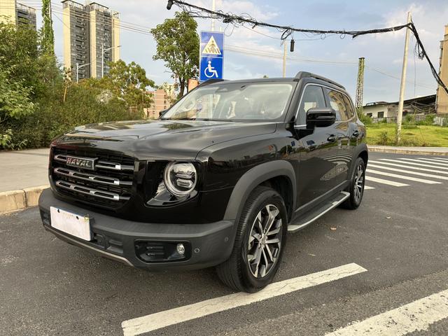 Havoc Big Dog 2021 1.5T 2WD Horse-Dog - Wanted Edition