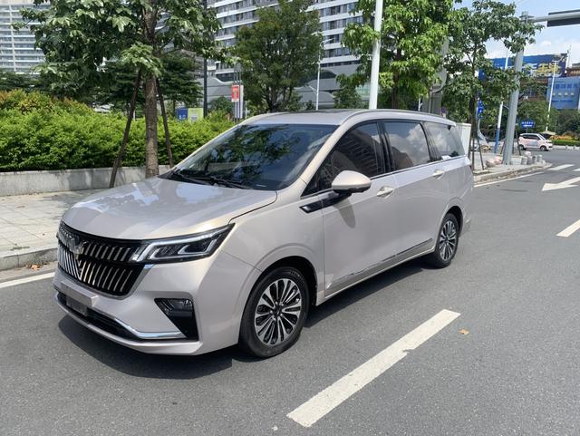 Wuling Jiachen 2022 1.5T CVT Exclusive Flagship Model