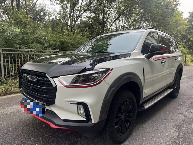 Chase D90 Pro 2021 2.0T diesel four-wheel drive Alashan Version 7-seater