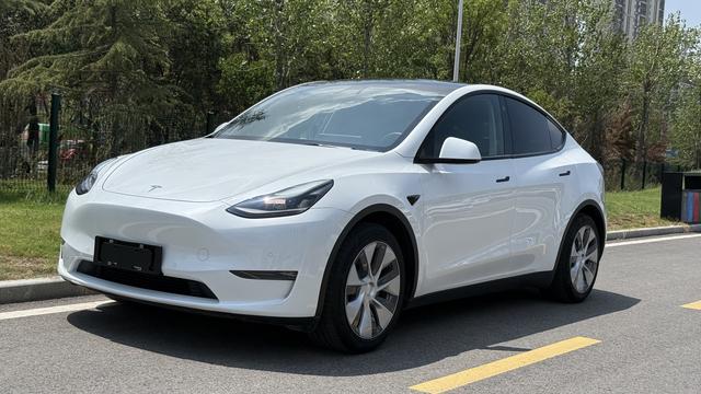 Model Y 2021 Standard Range Rear-Wheel Drive