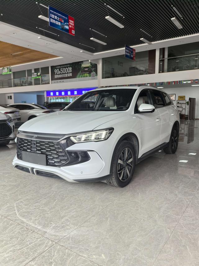 Song Pro DM 2023 DM-i Champion Edition 110km Transcendent Type