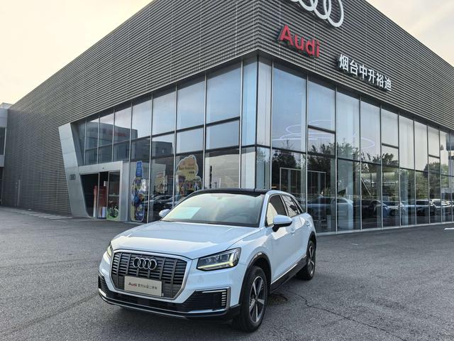 Audi Q2L e-tron 2019 Pure Electric Intelligence