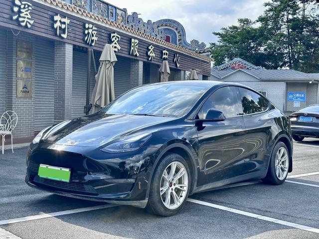Model Y 2021 Standard Range Rear-Wheel Drive