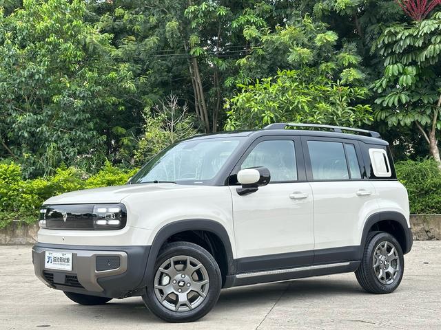 Yueye Plus 2026 301km Ultimate Edition