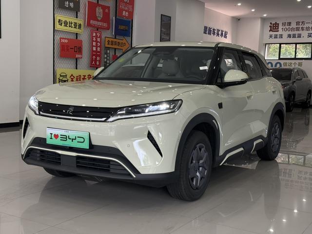 Yuan UP 2025 Smart Driving Version 401KM Vitality Version