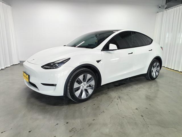 Model Y 2021 Standard Range Rear-Wheel Drive
