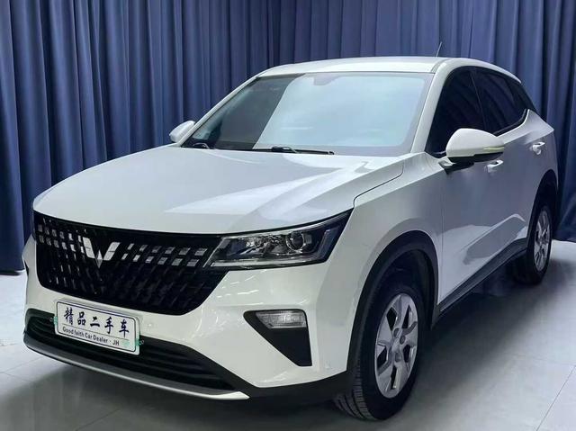 Wuling Starcraft 2022 1.5L Manual Freedom