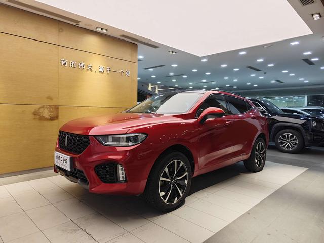 Wei brand VV5 2019 upgraded 2.0T two-wheel drive super luxury national V