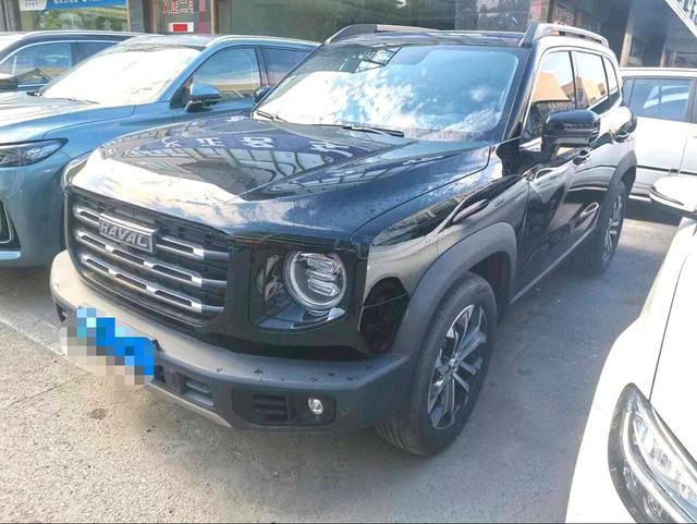 Havoc Big Dog 2021 1.5T 2WD Horse Dog Edition