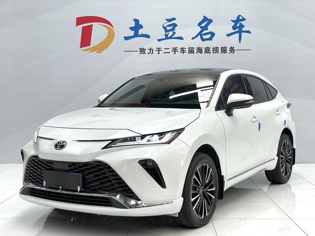 Weisha 2023 2.0L CVT two-wheel drive technology version