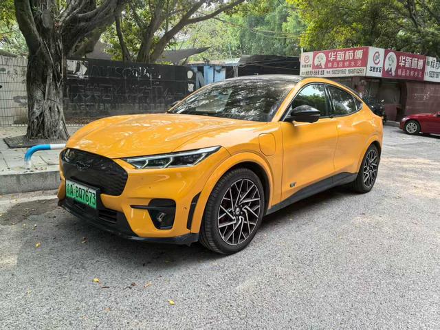 Ford Electric Horse 2024 GT Version
