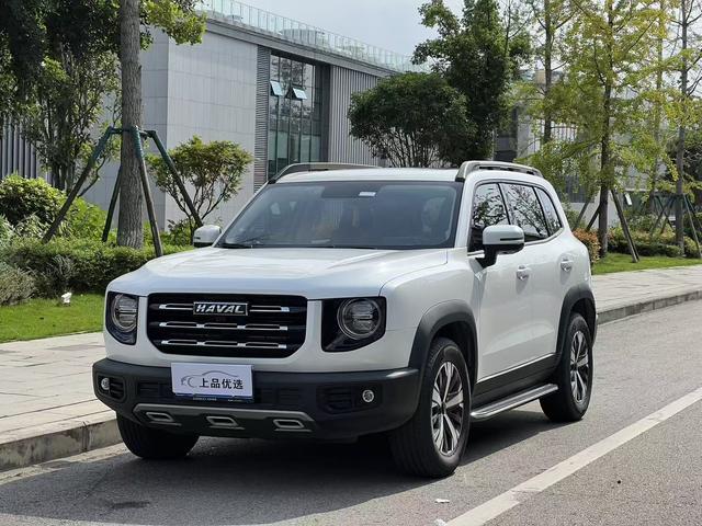 Havoc Big Dog 2022 1.5T 2WD Labrador Edition