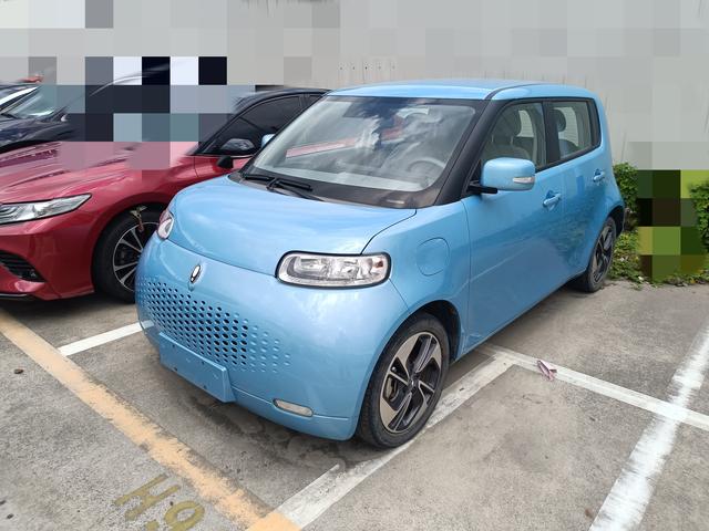 Euler White Cat 2022 upgraded version of 305km luxury ternary lithium