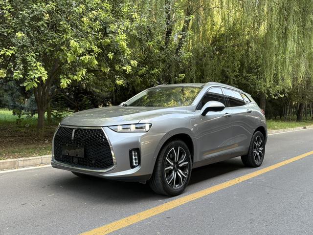 Wei brand P8 2018 2.0T flagship model